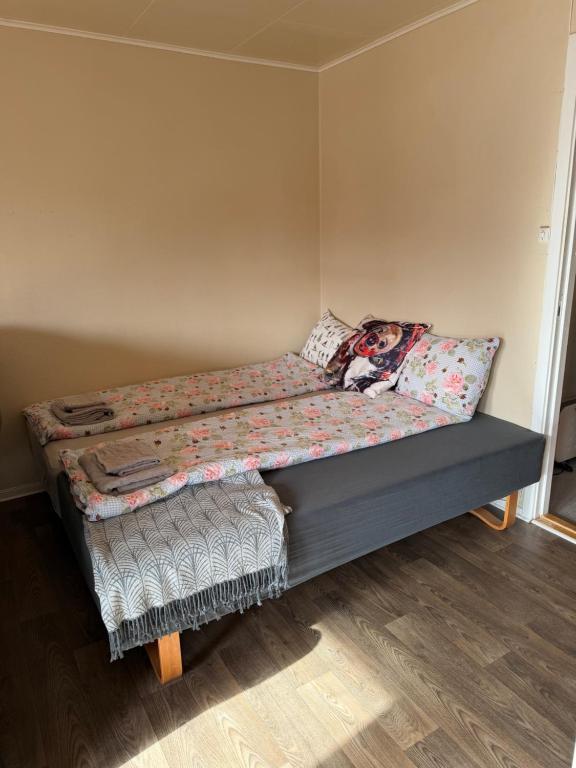 Beds in the living room